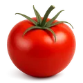 Classic Tomato