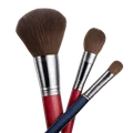 Make Up Brushes