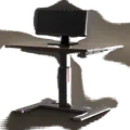 Standing Desks